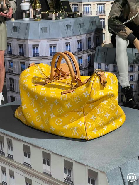 louis vuitton bags flag|louis vuitton bag publicity picture.